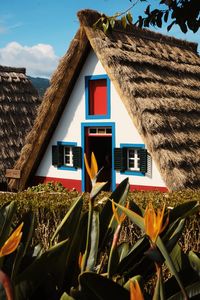 Plants growing on house