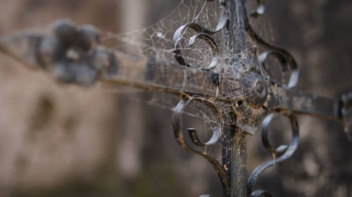 Close-up of spider web on metal