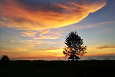 Silhouette of trees during sunset