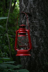 Close-up of red lantern hanging on tree trunk