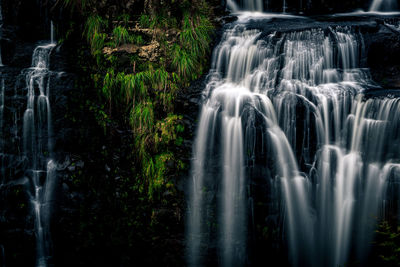 View of waterfall in forest