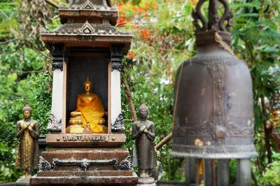 Buddha statue in temple