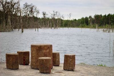 Wooden posts on beach against sky