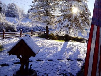 Sun shining through trees
