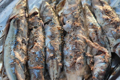 High angle view of fish for sale in market