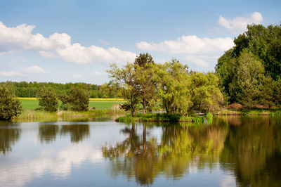 Scenic view of lake by trees against sky