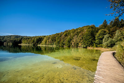 Scenic view of lake by trees against clear blue sky