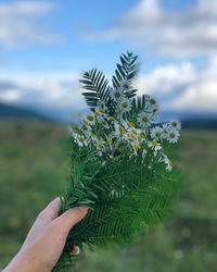 Midsection of person holding plant