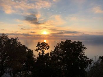 Silhouette trees against sky during sunset