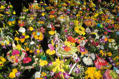 Full frame shot of multi colored flowers