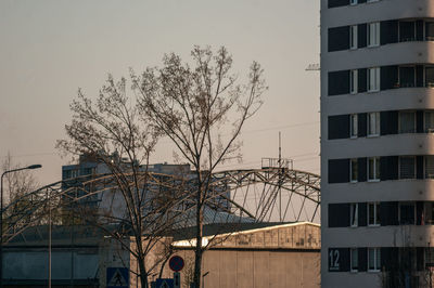 Bare tree by building against sky