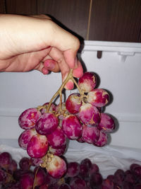 Close-up of hand holding strawberries