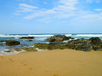 Scenic view of beach against sky