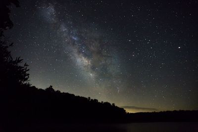 Trees against star field at night