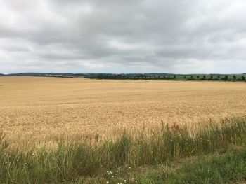 Scenic view of field against cloudy sky