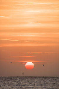 Scenic view of sea against orange sky