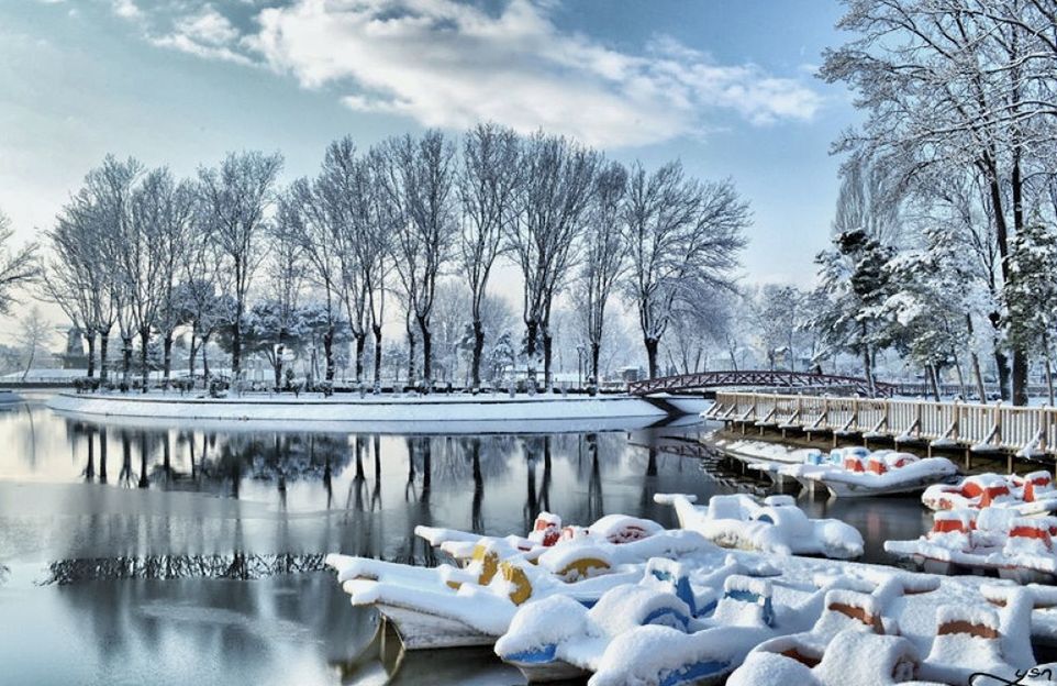 winter, snow, water, tree, cold temperature, reflection, nature, lake, freezing, sky, plant, frozen, beauty in nature, no people, ice, scenics - nature, bare tree, cloud, tranquility, environment, tranquil scene, day, frost, architecture, landscape, outdoors, travel destinations