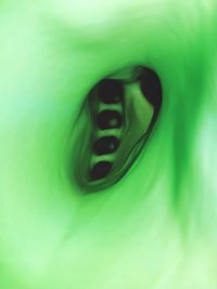 Close-up of water drop on leaf