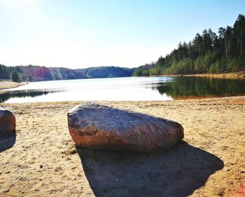 View of lake in forest