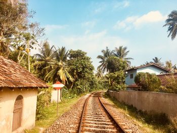 Railroad tracks amidst trees against sky