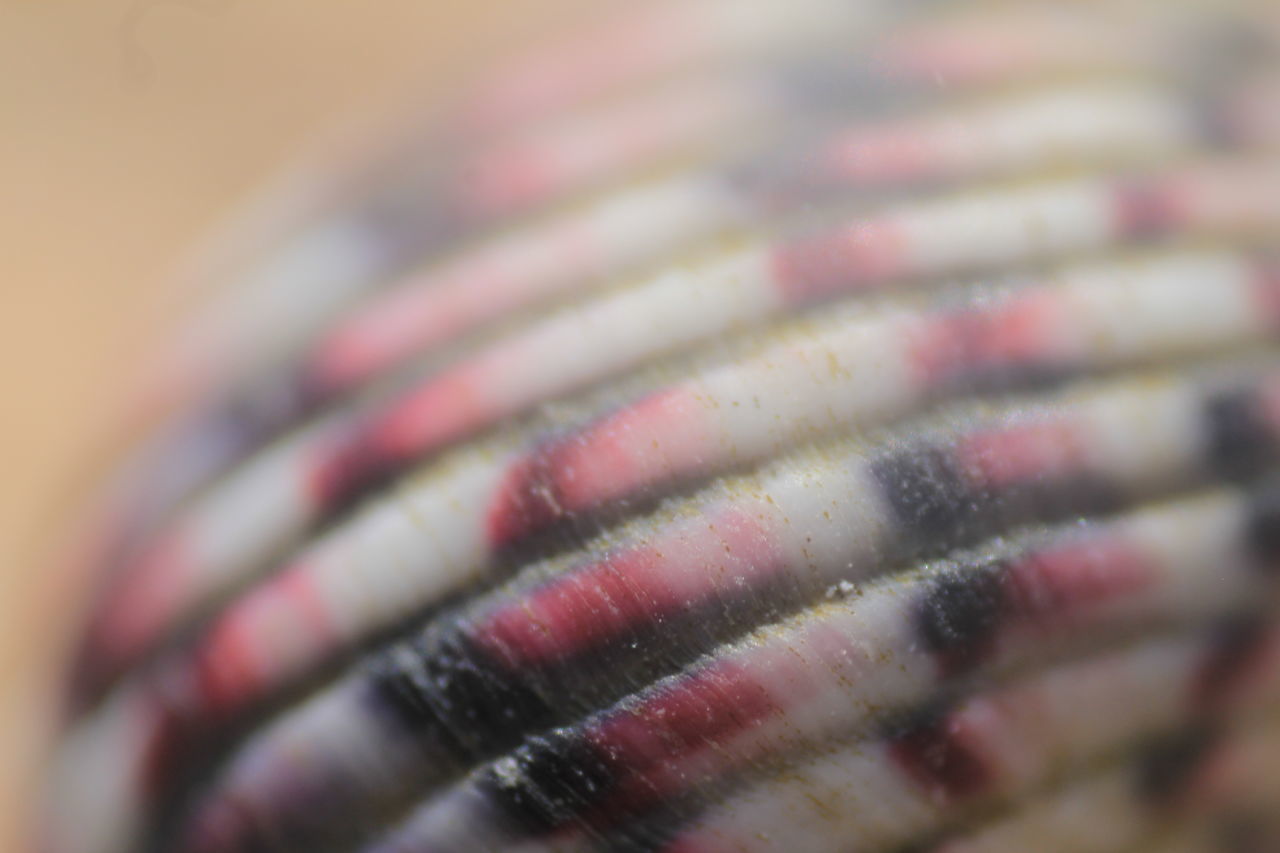 CLOSE-UP OF MULTI COLORED CURTAIN