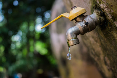 Close-up of water drop at night