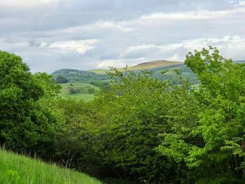 Scenic view of landscape against cloudy sky