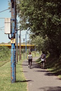 Rear view of people riding bicycle on road by trees