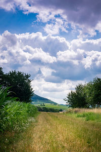 Scenic view of field against sky