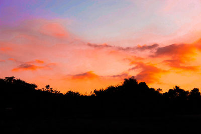 Silhouette trees against sky during sunset