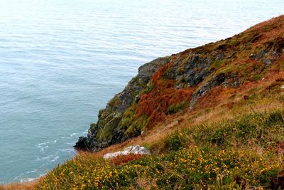 High angle view of sea by cliff