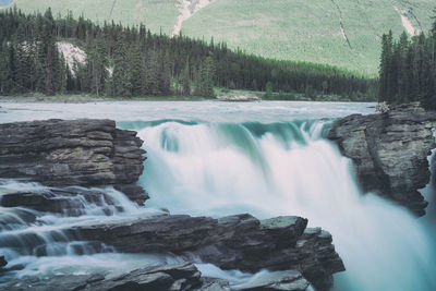 Scenic view of waterfall in forest