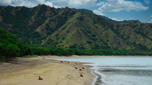 Scenic view of sea and mountains against sky