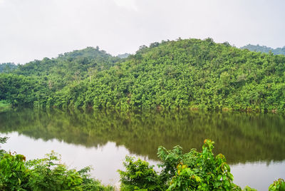 Reflection of trees in calm lake against sky