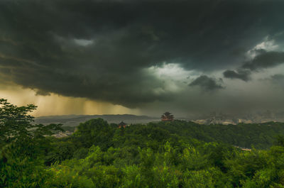 Scenic view of trees on field against storm clouds