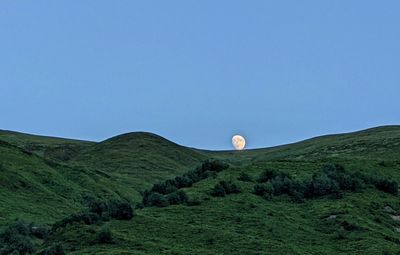 hill
