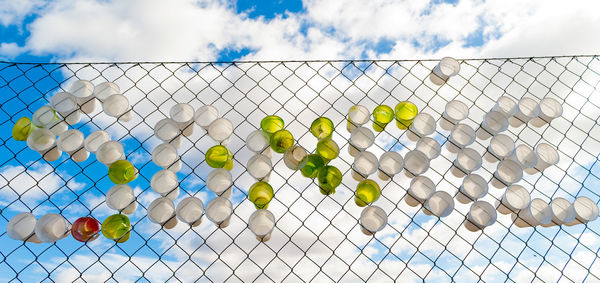 Low angle view of disposable cups on chainlink fence against sky