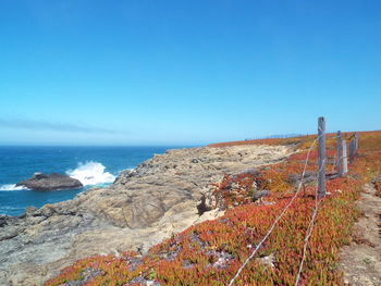 Scenic view of sea against clear blue sky