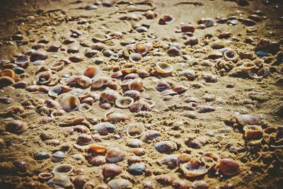 Close-up of pebbles on sand