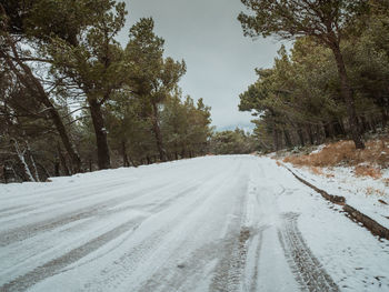 Snow covered road amidst trees against sky during winter