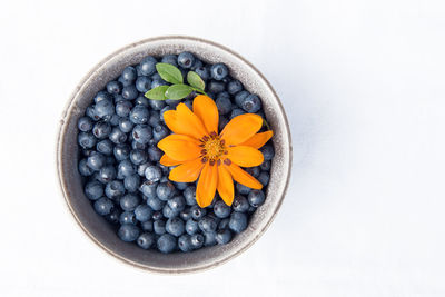 Blueberries in a small clay cup on a white background. freshly picked berry in the forest.