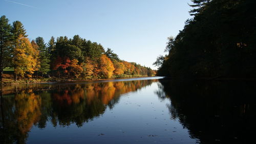 Reflection of trees in lake against clear sky