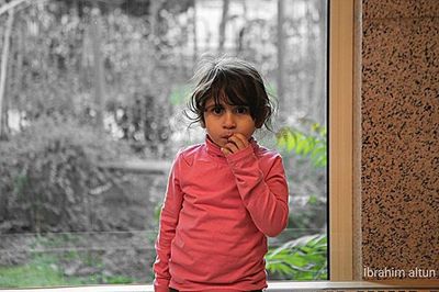 Portrait of boy looking at camera