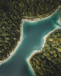 Drone view of lake amidst trees at forest