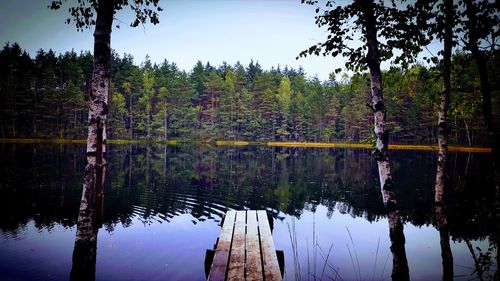 Reflection of trees in lake against sky