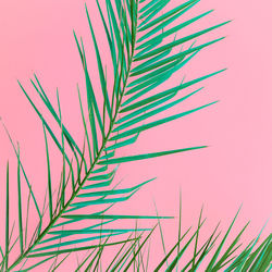 Low angle view of palm tree against sky