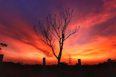 Silhouette bare tree on landscape against sky at sunset