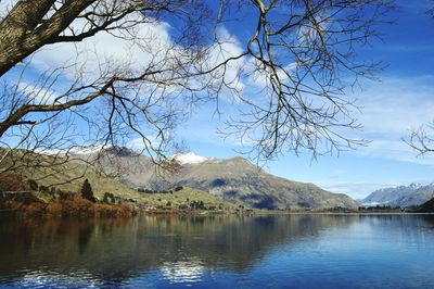 Bare tree by lake hayes against sky