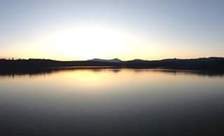 Reflection of trees in calm lake