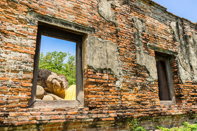 Low angle view of horse in building